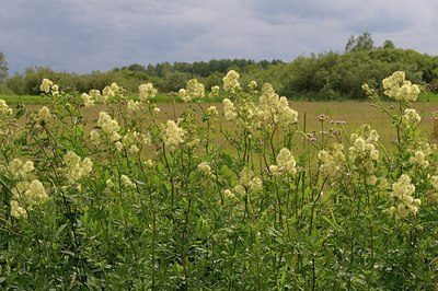 BUITEN BEELD Foto: 175157