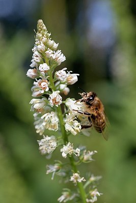 BUITEN BEELD Foto: 175188