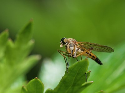 BUITEN BEELD Foto: 175198