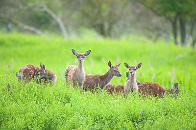 BUITEN BEELD Foto: 175259