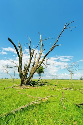 BUITEN BEELD Foto: 175262