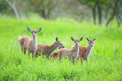 BUITEN BEELD Foto: 175263