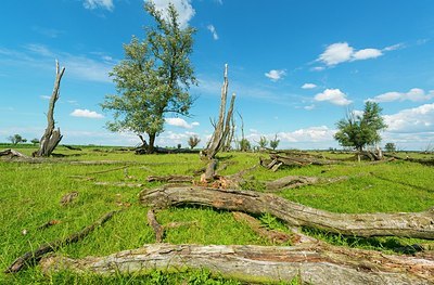 BUITEN BEELD Foto: 175279