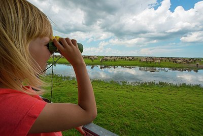 BUITEN BEELD Foto: 175284