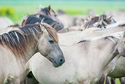 BUITEN BEELD Foto: 175287