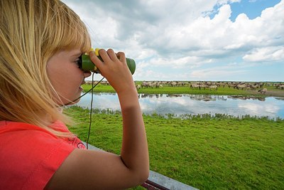 BUITEN BEELD Foto: 175288