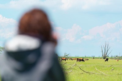 BUITEN BEELD Foto: 175291