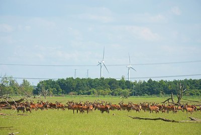BUITEN BEELD Foto: 175297