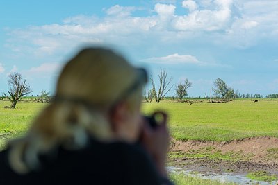 BUITEN BEELD Foto: 175300