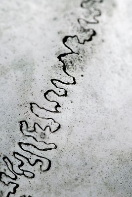 BUITEN BEELD Foto: 175307