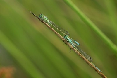 BUITEN BEELD Foto: 175316