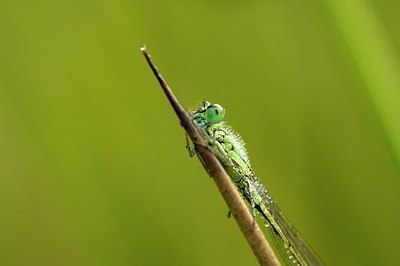 BUITEN BEELD Foto: 175318