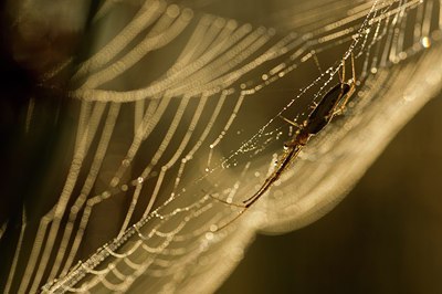 BUITEN BEELD Foto: 175320