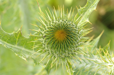 BUITEN BEELD Foto: 175321