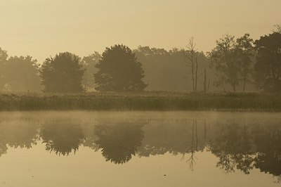 BUITEN BEELD Foto: 175333