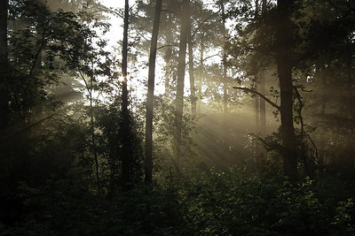 BUITEN BEELD Foto: 175336