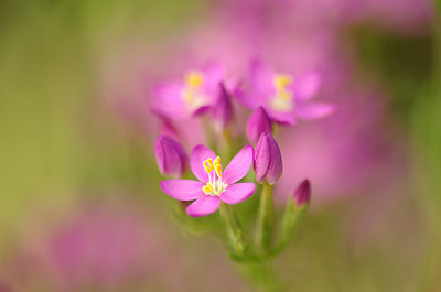 BUITEN BEELD Foto: 175366