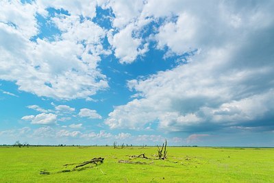 BUITEN BEELD Foto: 175370