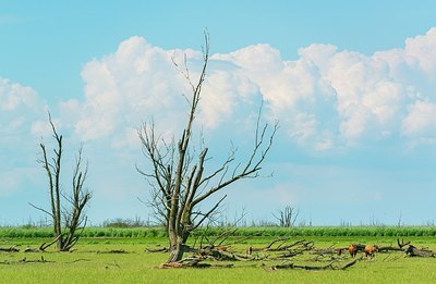 BUITEN BEELD Foto: 175376