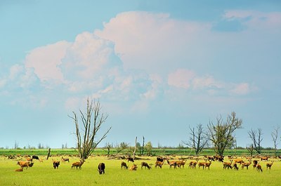 BUITEN BEELD Foto: 175383