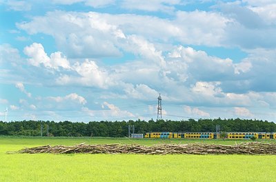 BUITEN BEELD Foto: 175385