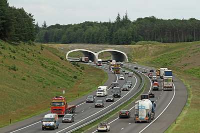 BUITEN BEELD Foto: 175397