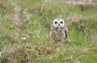 BUITEN BEELD Foto: 175488