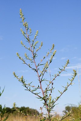 BUITEN BEELD Foto: 175613