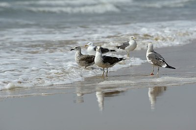 BUITEN BEELD Foto: 175671