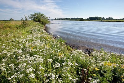 BUITEN BEELD Foto: 175691