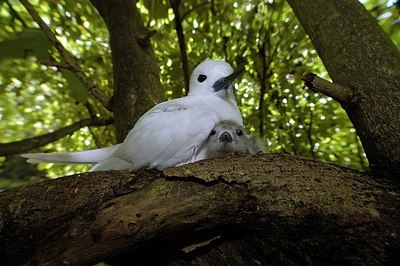 BUITEN BEELD Foto: 175781