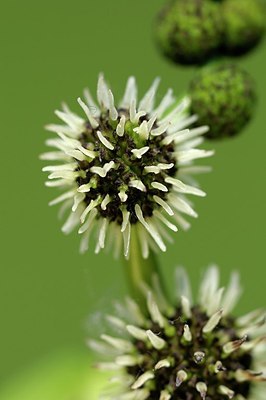 BUITEN BEELD Foto: 175812