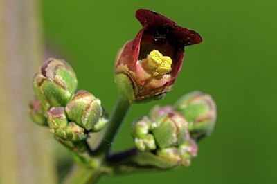 BUITEN BEELD Foto: 175815
