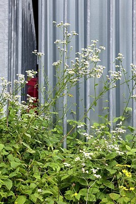 BUITEN BEELD Foto: 175836
