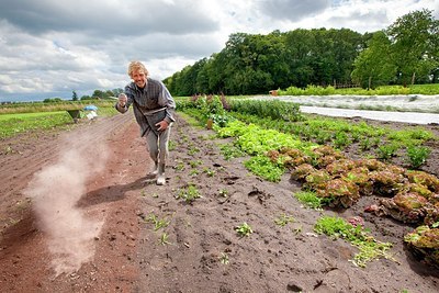 BUITEN BEELD Foto: 175894