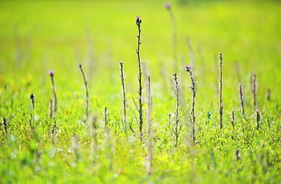 BUITEN BEELD Foto: 175948