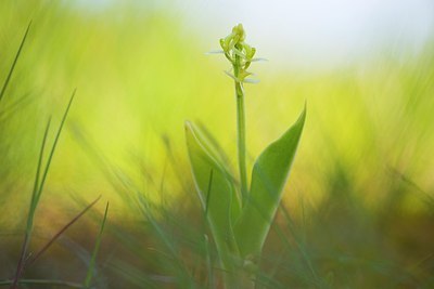 BUITEN BEELD Foto: 175951