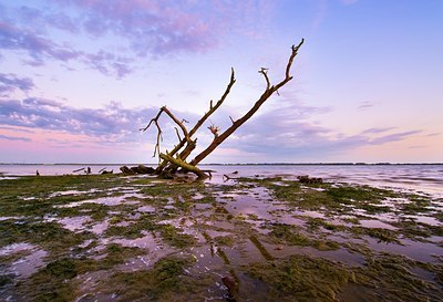 BUITEN BEELD Foto: 175972