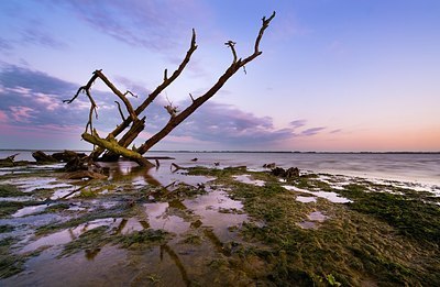 BUITEN BEELD Foto: 175973