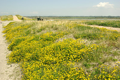 BUITEN BEELD Foto: 175976