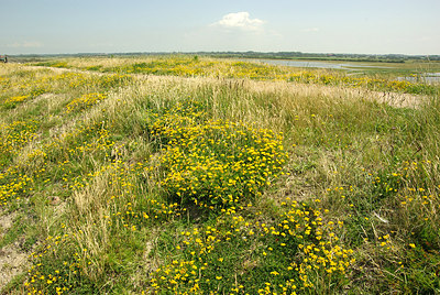 BUITEN BEELD Foto: 175977