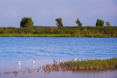 BUITEN BEELD Foto: 175998