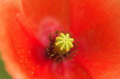 BUITEN BEELD Foto: 176078