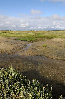 BUITEN BEELD Foto: 176092
