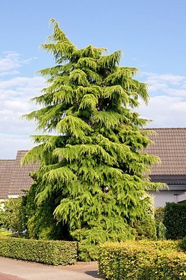 BUITEN BEELD Foto: 176123