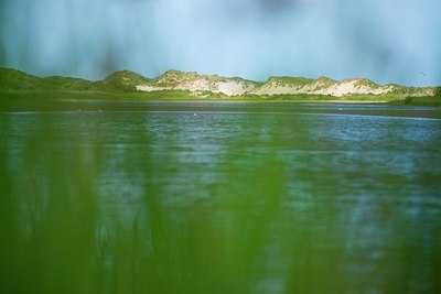 BUITEN BEELD Foto: 176203