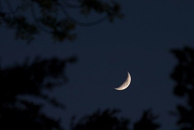 BUITEN BEELD Foto: 176262