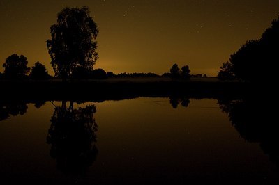 BUITEN BEELD Foto: 176266