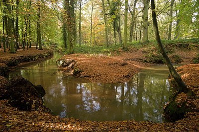 BUITEN BEELD Foto: 176269