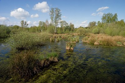 BUITEN BEELD Foto: 176270